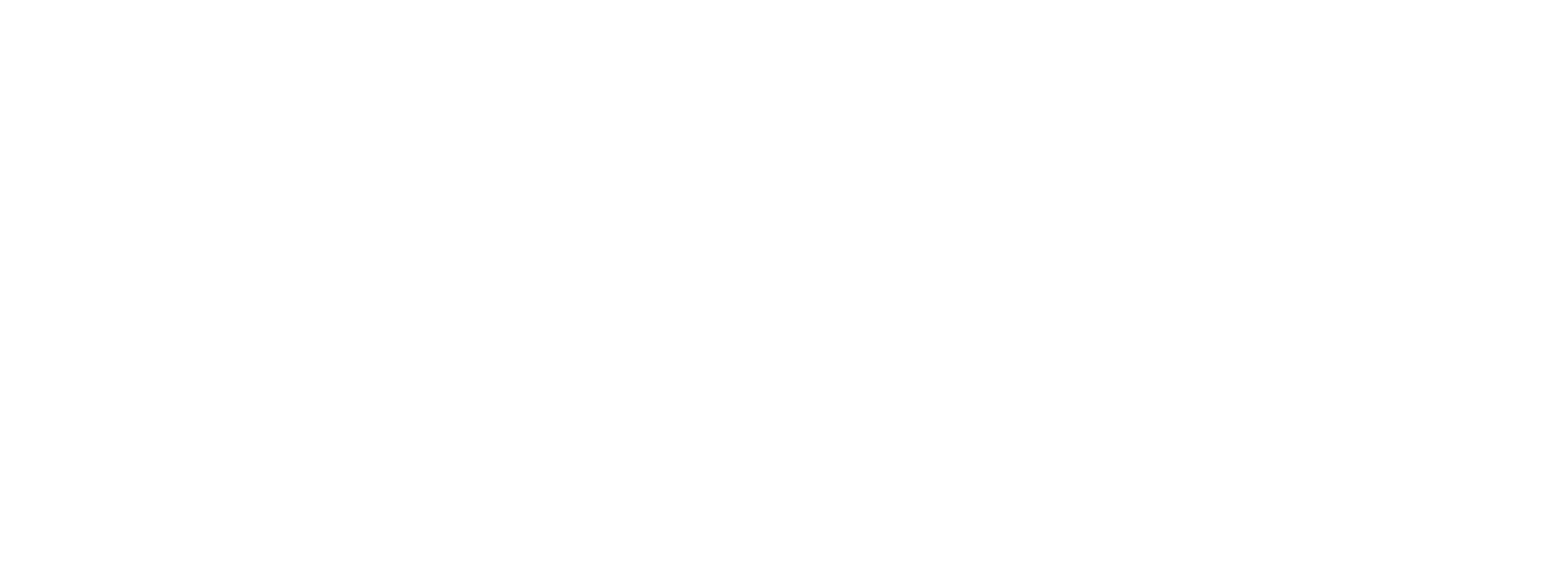 Speeding Corsi Logo